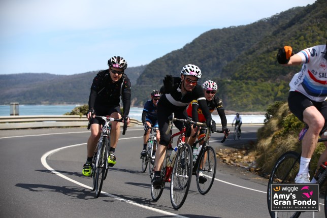 gduke at Amys Gran Fondo